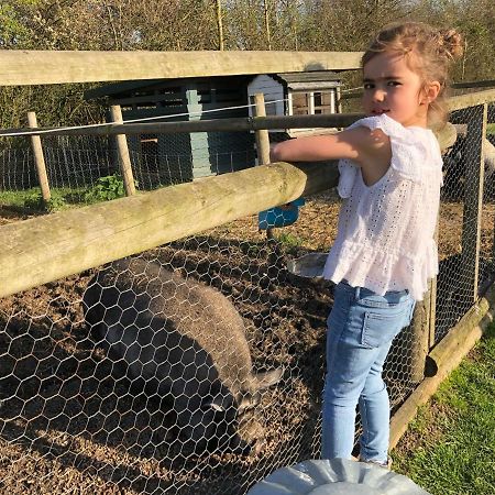 Willow Court Farm Studio East & Petting Farm, 8 Mins To Legoland & Windsor, 15 Mins To Lapland Uk מראה חיצוני תמונה