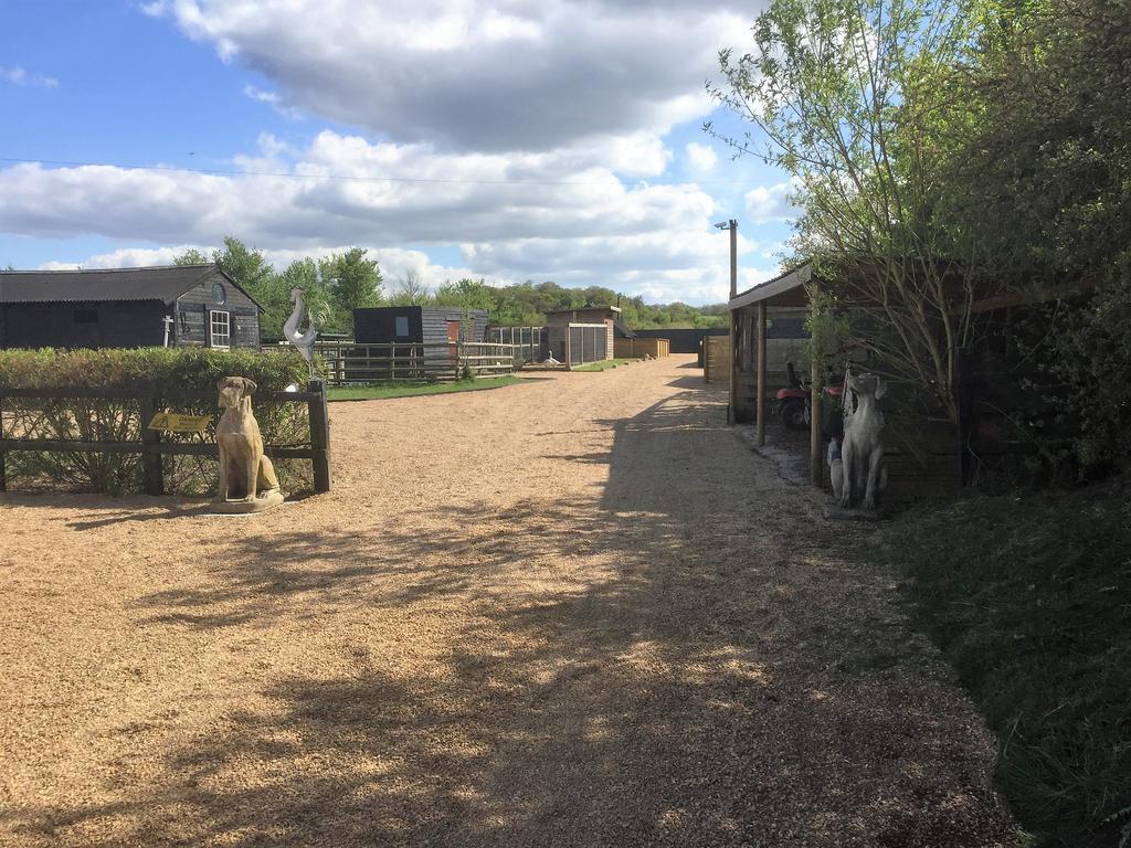 Willow Court Farm Studio East & Petting Farm, 8 Mins To Legoland & Windsor, 15 Mins To Lapland Uk מראה חיצוני תמונה