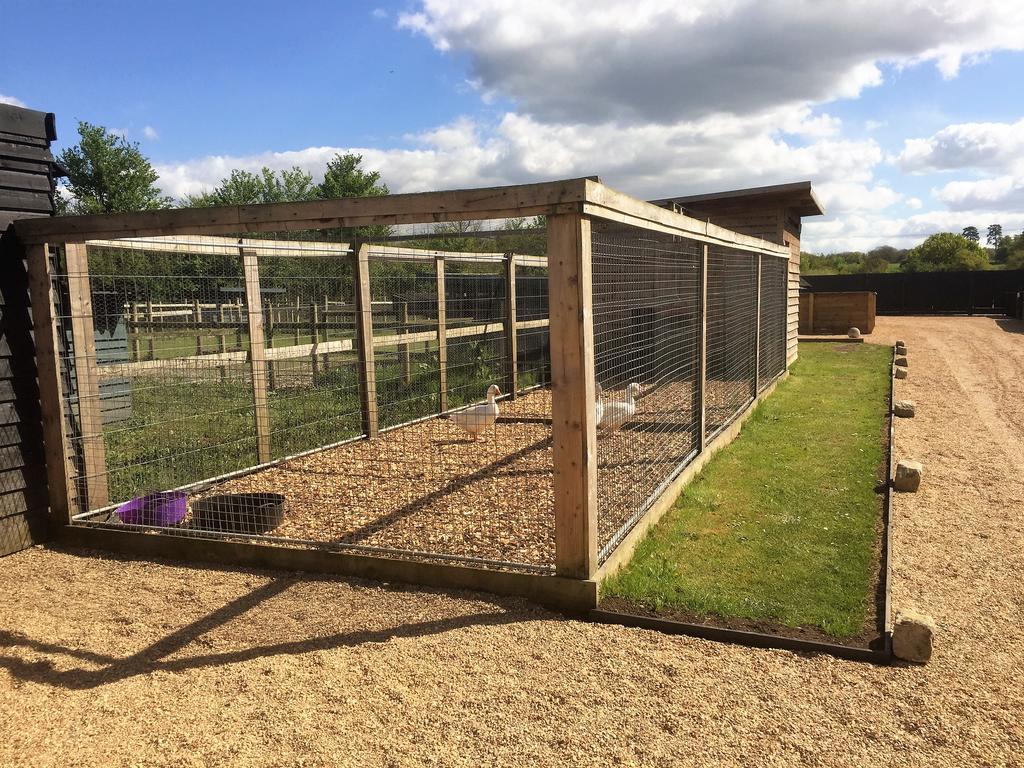 Willow Court Farm Studio East & Petting Farm, 8 Mins To Legoland & Windsor, 15 Mins To Lapland Uk מראה חיצוני תמונה