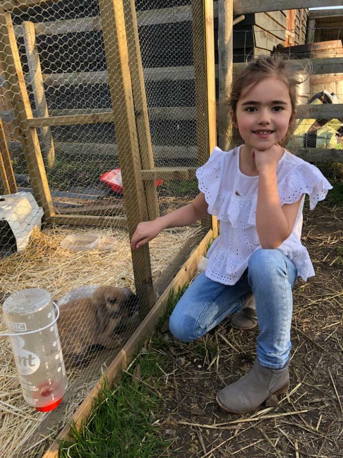 Willow Court Farm Studio East & Petting Farm, 8 Mins To Legoland & Windsor, 15 Mins To Lapland Uk מראה חיצוני תמונה