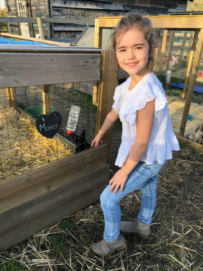 Willow Court Farm Studio East & Petting Farm, 8 Mins To Legoland & Windsor, 15 Mins To Lapland Uk מראה חיצוני תמונה